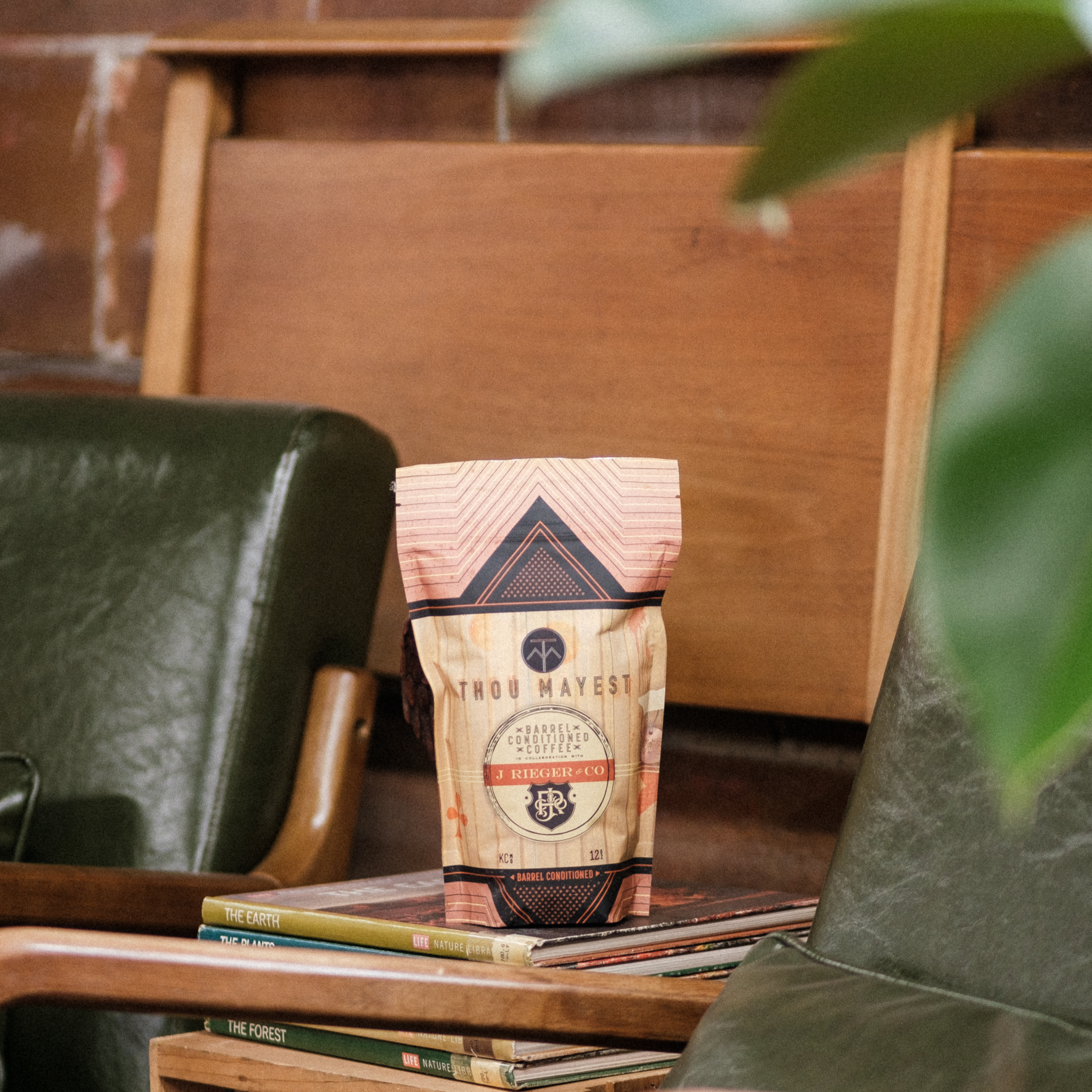 More Friends, More Fun Series