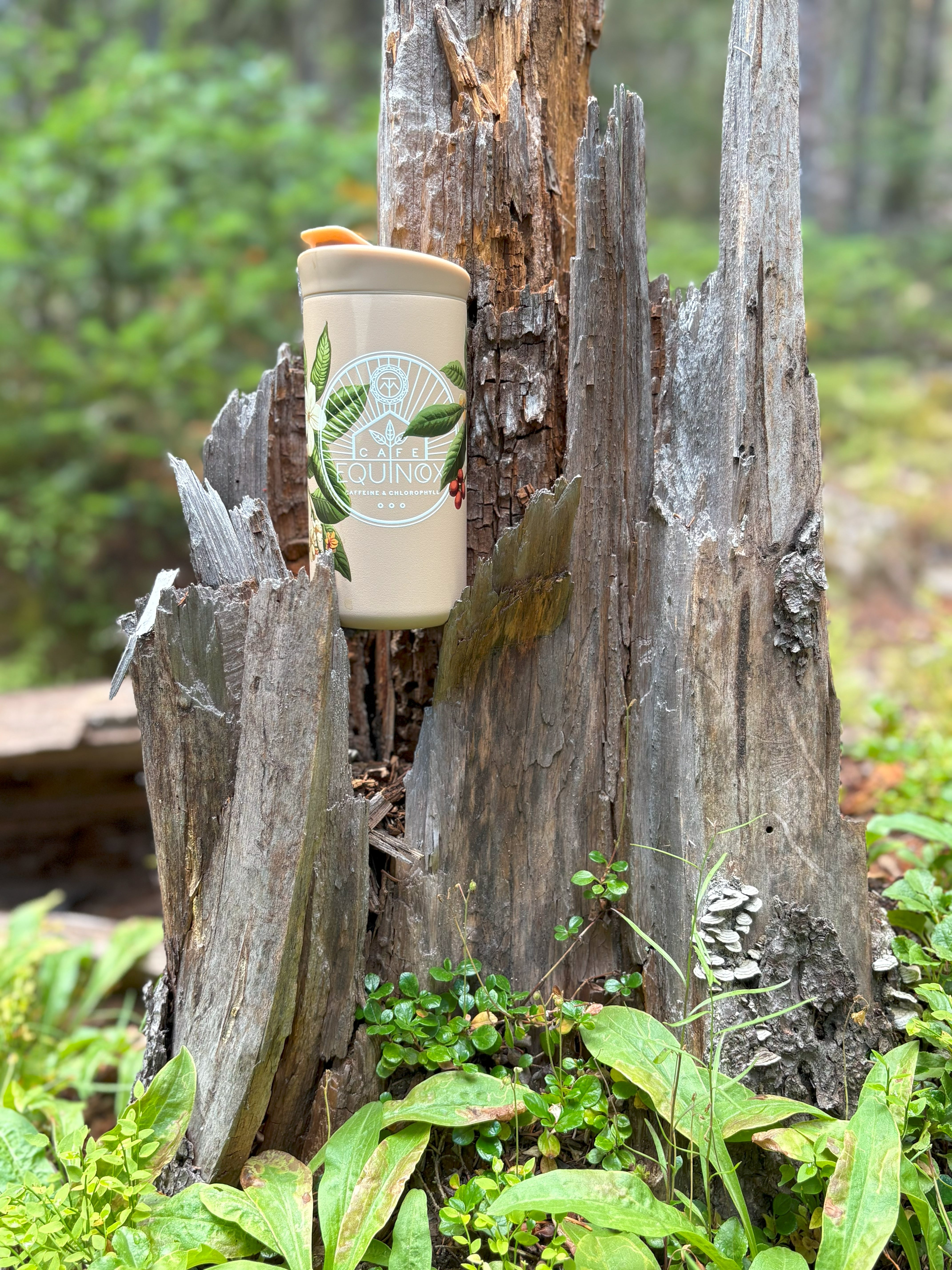 バーベキュー・調理用品 h&o HOW STRONG? TUMBLER Café Equinox Tumbler – Thou Mayest
